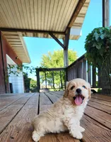 processed/437c25e8-5162-4a33-b90c-260a3b294676/facility/93a5b8e7-f378-401b-a5ad-6e6c64d9856f