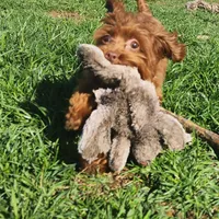 processed/437c25e8-5162-4a33-b90c-260a3b294676/facility/b146fa11-ca8d-4b54-9f94-35a06e30d30f