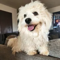 processed/437c25e8-5162-4a33-b90c-260a3b294676/facility/e8f7267e-f8c5-4dd1-ab6f-7130f2ca7553