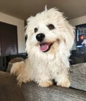 processed/437c25e8-5162-4a33-b90c-260a3b294676/facility/e8f7267e-f8c5-4dd1-ab6f-7130f2ca7553