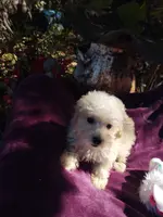 processed/437c25e8-5162-4a33-b90c-260a3b294676/listing/1ba1e96a-e8f6-4b54-8dd6-a7ef74b2d2b0/038db985-b5a1-4faf-ba62-f231295d4997