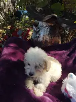 processed/437c25e8-5162-4a33-b90c-260a3b294676/listing/1ba1e96a-e8f6-4b54-8dd6-a7ef74b2d2b0/80d80801-21cf-4d8d-af35-1f1d7d461550