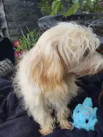 processed/437c25e8-5162-4a33-b90c-260a3b294676/listing/298e6787-8a64-48b6-bca8-85e2d093e64c/2dc24972-760d-4dce-b3a6-8c54cc5fcedd