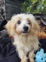 processed/437c25e8-5162-4a33-b90c-260a3b294676/listing/298e6787-8a64-48b6-bca8-85e2d093e64c/78d7c065-ead2-4d3d-83cf-05b7871193e7