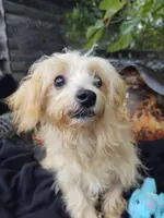 processed/437c25e8-5162-4a33-b90c-260a3b294676/listing/298e6787-8a64-48b6-bca8-85e2d093e64c/87210e3b-36cd-4a85-9096-fdfd61d45422