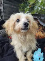 processed/437c25e8-5162-4a33-b90c-260a3b294676/listing/298e6787-8a64-48b6-bca8-85e2d093e64c/94367dca-e234-4ec3-bd0f-2b0bc369eaee