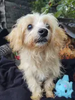 processed/437c25e8-5162-4a33-b90c-260a3b294676/listing/298e6787-8a64-48b6-bca8-85e2d093e64c/b83b1823-6d86-4ed7-853a-af07f6cb928c