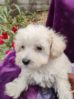 processed/437c25e8-5162-4a33-b90c-260a3b294676/listing/2c2c44ec-ab13-4ffa-8b81-47f941a4af1a/05e55b8f-b821-4f0f-9f43-c541a8f30db1