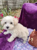 processed/437c25e8-5162-4a33-b90c-260a3b294676/listing/2c2c44ec-ab13-4ffa-8b81-47f941a4af1a/0fc2fb70-a5cb-4d0e-a6a1-4abfe09508f0