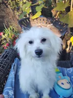 processed/437c25e8-5162-4a33-b90c-260a3b294676/listing/4b859207-d121-4cf5-abf3-1c73bdad193d/09a1b6a3-b7da-49a4-8490-865c86598376