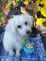 processed/437c25e8-5162-4a33-b90c-260a3b294676/listing/4b859207-d121-4cf5-abf3-1c73bdad193d/1efa74de-7a20-4db4-bf35-b91ffc3ab0ab