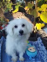 processed/437c25e8-5162-4a33-b90c-260a3b294676/listing/4b859207-d121-4cf5-abf3-1c73bdad193d/43d6cbe1-e46e-42d5-85c9-c33c745fafd7