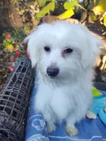 processed/437c25e8-5162-4a33-b90c-260a3b294676/listing/4b859207-d121-4cf5-abf3-1c73bdad193d/6dc3ff25-680e-4ff2-adb0-be0d0417e192