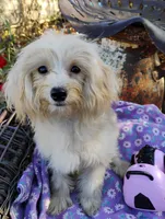 processed/437c25e8-5162-4a33-b90c-260a3b294676/listing/56fe7556-4b1d-4a60-8347-3fca81aca2e1/90d5df08-b2e1-4acd-bbdf-e8a20392919a