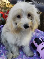 processed/437c25e8-5162-4a33-b90c-260a3b294676/listing/56fe7556-4b1d-4a60-8347-3fca81aca2e1/af45473a-870d-429c-b668-064a011abe42