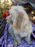 processed/437c25e8-5162-4a33-b90c-260a3b294676/listing/56fe7556-4b1d-4a60-8347-3fca81aca2e1/e1349ee9-7b3d-47d4-a18f-2db7aa28ed9d