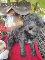 processed/437c25e8-5162-4a33-b90c-260a3b294676/listing/5fe0294e-15ae-4d0d-8956-0884b963d4fa/54a90bdc-f040-4867-b4ba-c9273d854b82