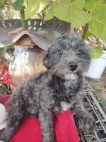 processed/437c25e8-5162-4a33-b90c-260a3b294676/listing/5fe0294e-15ae-4d0d-8956-0884b963d4fa/5f530dcc-8648-4155-b1a3-5b3b8ed4ec97