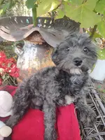 processed/437c25e8-5162-4a33-b90c-260a3b294676/listing/5fe0294e-15ae-4d0d-8956-0884b963d4fa/933779b9-b8db-4e30-99d2-f3fc106128dd