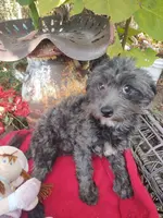 processed/437c25e8-5162-4a33-b90c-260a3b294676/listing/5fe0294e-15ae-4d0d-8956-0884b963d4fa/cbc5581c-419b-45f2-8a56-a5d481efaf70