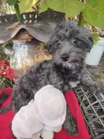 processed/437c25e8-5162-4a33-b90c-260a3b294676/listing/5fe0294e-15ae-4d0d-8956-0884b963d4fa/f5477052-f4d1-46db-8093-5bb84e326dc9