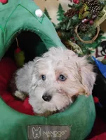 processed/437c25e8-5162-4a33-b90c-260a3b294676/listing/6f7a98cc-9e88-4b12-889d-b8abb705af50/12b3af1c-b272-4cd8-8e4f-077386375d89