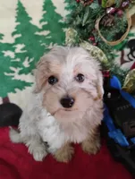 processed/437c25e8-5162-4a33-b90c-260a3b294676/listing/6f7a98cc-9e88-4b12-889d-b8abb705af50/152e2e97-0aaa-4fe0-8a4b-8047846d74e6