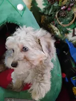 processed/437c25e8-5162-4a33-b90c-260a3b294676/listing/6f7a98cc-9e88-4b12-889d-b8abb705af50/1a96d522-5fcc-4efc-bbd1-bed6bdc63fcd