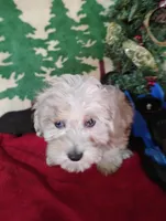 processed/437c25e8-5162-4a33-b90c-260a3b294676/listing/6f7a98cc-9e88-4b12-889d-b8abb705af50/552acfa4-619e-4ebf-a8b7-54e4c9fb53e5