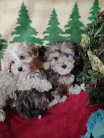 processed/437c25e8-5162-4a33-b90c-260a3b294676/listing/6f7a98cc-9e88-4b12-889d-b8abb705af50/90477029-fa47-42ad-bb50-fa1911d8ef82