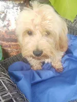 processed/437c25e8-5162-4a33-b90c-260a3b294676/listing/70a51e55-8c8c-45e3-9067-660aa6a7a63e/117c305f-79b4-48b6-a132-63241f1f4c9d