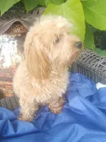 processed/437c25e8-5162-4a33-b90c-260a3b294676/listing/70a51e55-8c8c-45e3-9067-660aa6a7a63e/1dad1606-5860-49a1-9cd3-0750853dbc95