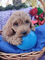 processed/437c25e8-5162-4a33-b90c-260a3b294676/listing/70a51e55-8c8c-45e3-9067-660aa6a7a63e/2924ee13-a2cb-4345-b005-8b4af0836f0d