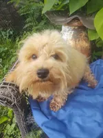 processed/437c25e8-5162-4a33-b90c-260a3b294676/listing/70a51e55-8c8c-45e3-9067-660aa6a7a63e/5571e836-4a78-48a5-bdb4-3bd9d3d81ca4