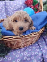 processed/437c25e8-5162-4a33-b90c-260a3b294676/listing/70a51e55-8c8c-45e3-9067-660aa6a7a63e/6a5e03f8-0b04-42ba-81ac-ff83a448090f