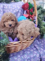 processed/437c25e8-5162-4a33-b90c-260a3b294676/listing/70a51e55-8c8c-45e3-9067-660aa6a7a63e/6e55089e-e470-4131-9d4a-bf0e9f4386bc