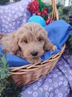 processed/437c25e8-5162-4a33-b90c-260a3b294676/listing/70a51e55-8c8c-45e3-9067-660aa6a7a63e/9bf82cc4-c014-44c9-ac93-43d6bafd46c8