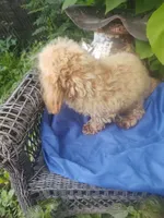 processed/437c25e8-5162-4a33-b90c-260a3b294676/listing/70a51e55-8c8c-45e3-9067-660aa6a7a63e/b33ef52c-1ccc-495a-af5e-62e3b1d4066d