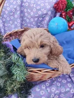 processed/437c25e8-5162-4a33-b90c-260a3b294676/listing/70a51e55-8c8c-45e3-9067-660aa6a7a63e/b4d2d181-2e15-4cf4-92d8-5bd5a920ae55