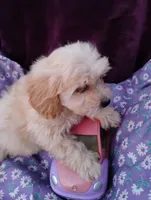 processed/437c25e8-5162-4a33-b90c-260a3b294676/listing/814564dc-5637-4b95-b852-d236715fdd8f/ce379aa2-6aad-43e9-b93f-0d5f7d4f2f96