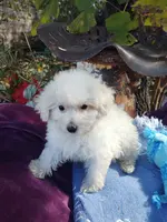 processed/437c25e8-5162-4a33-b90c-260a3b294676/listing/cae9c98c-b8e9-4e88-8f11-5b9ca7b8aeb2/1b1bf659-91f4-4e8a-a8f1-f2b2570b87b8