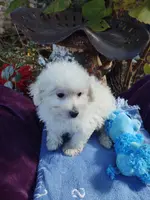 processed/437c25e8-5162-4a33-b90c-260a3b294676/listing/cae9c98c-b8e9-4e88-8f11-5b9ca7b8aeb2/741a41bb-ed93-43d1-a637-ad2f9e8f4f6a