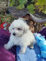 processed/437c25e8-5162-4a33-b90c-260a3b294676/listing/cae9c98c-b8e9-4e88-8f11-5b9ca7b8aeb2/95ff0605-5ff0-422b-91d7-1f3d2a103d3c