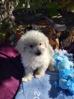 processed/437c25e8-5162-4a33-b90c-260a3b294676/listing/cae9c98c-b8e9-4e88-8f11-5b9ca7b8aeb2/a2be4f8f-a81e-4512-99b5-e7050748f086