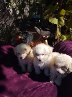 processed/437c25e8-5162-4a33-b90c-260a3b294676/listing/cae9c98c-b8e9-4e88-8f11-5b9ca7b8aeb2/c0ffed4c-07fa-4f43-9005-43b0d99370f9