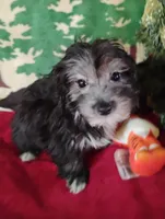 processed/437c25e8-5162-4a33-b90c-260a3b294676/listing/ee6620e4-1f94-4a0d-afd9-c9e536ba3c77/e835c9f7-a8f9-4e7f-aa93-5a327f6302b9