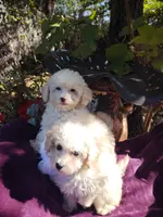 processed/437c25e8-5162-4a33-b90c-260a3b294676/listing/f2a656cc-d714-4c39-837e-db8a062bcf41/6300f4fe-ee7a-4b6c-aec3-4cdaee153ede