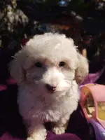 processed/437c25e8-5162-4a33-b90c-260a3b294676/listing/f2a656cc-d714-4c39-837e-db8a062bcf41/81e7268e-e5e1-4bf2-b3ca-cc7c5c6cde28