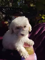 processed/437c25e8-5162-4a33-b90c-260a3b294676/listing/f2a656cc-d714-4c39-837e-db8a062bcf41/bce1145d-05fc-4898-be23-c88b6ab618dd