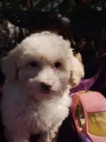 processed/437c25e8-5162-4a33-b90c-260a3b294676/listing/f2a656cc-d714-4c39-837e-db8a062bcf41/e71fd76e-3e8d-4a57-9480-10a5ea19a48c